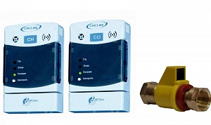 Сигнализатор загазованности САКЗ-МК-2-1А DN 25 (2 газа)